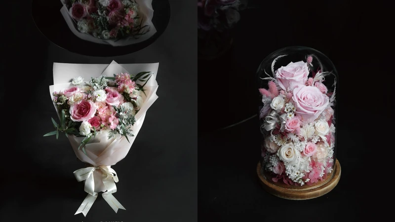 仙女座 Andromeda  仙女座 Andromeda