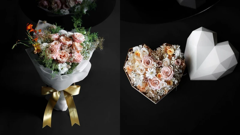 天鵝座 Cygnus 天鵝座 Cygnus