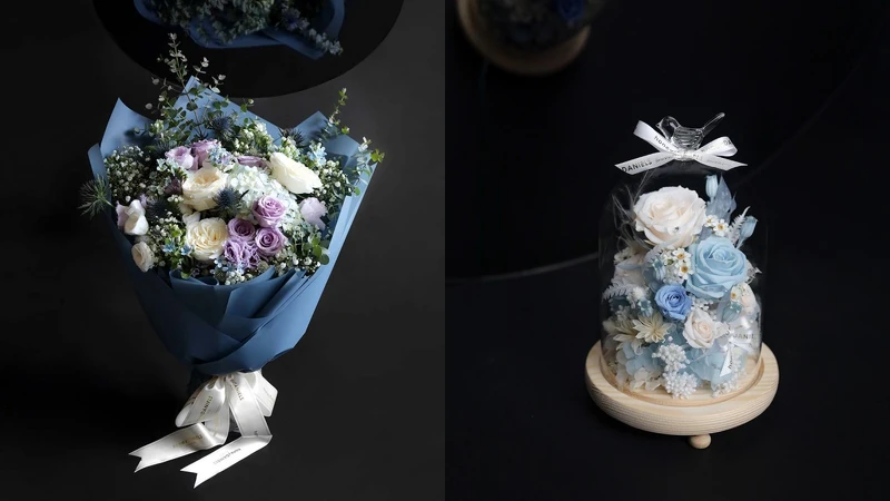 孔雀座 Pavo 孔雀座 Pavo