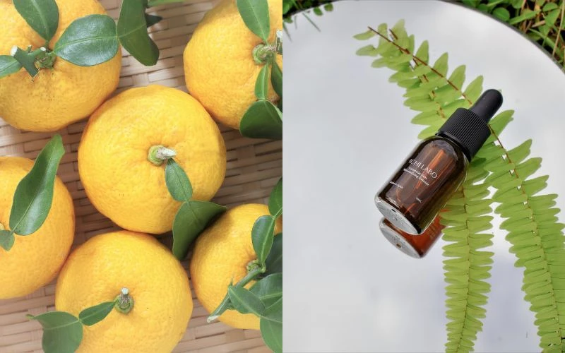 ICHI LABO神經醯胺保濕精華原液，原料取自日本德島柚子