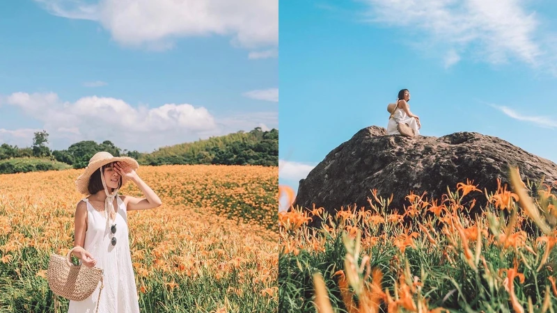 Photo / IG @shier0518 授權 (右圖 : 萬噸石龜) Photo / IG @shier0518 授權 (右圖 : 萬噸石龜)