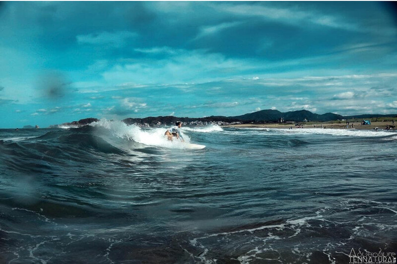 圖片來源:IG@treetreetravel 圖片來源:IG@treetreetravel