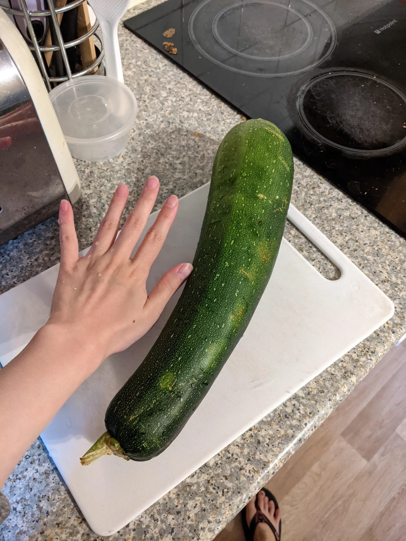 曹先生種的大節瓜。