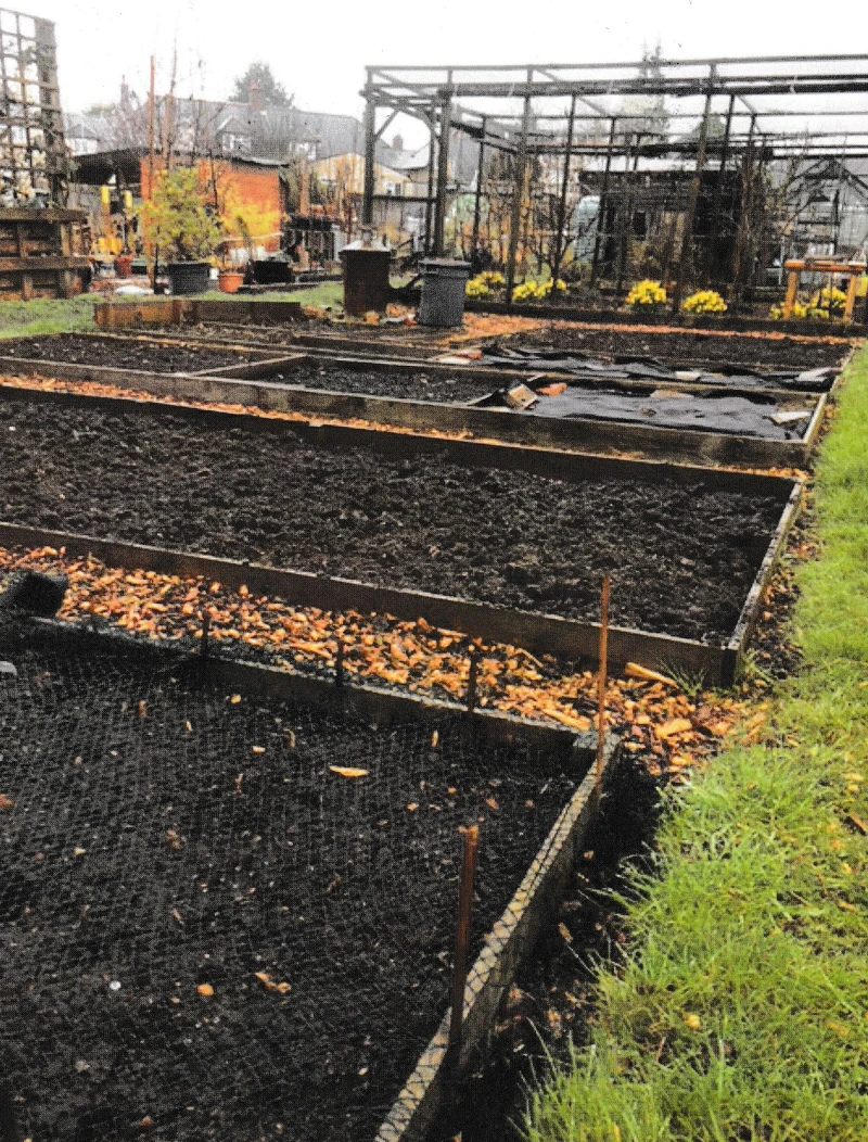 曹先生提供的照片：園圃土地一角。