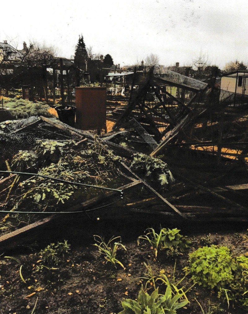 曹先生提供的照片：被風摧毀的溫室