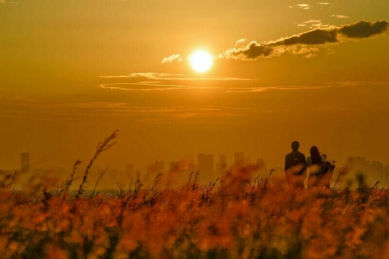 圖片來源/ IG@lin_circle