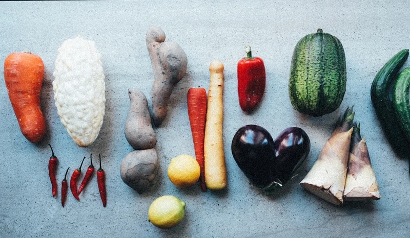 醜食即為格外品。 醜食即為格外品。