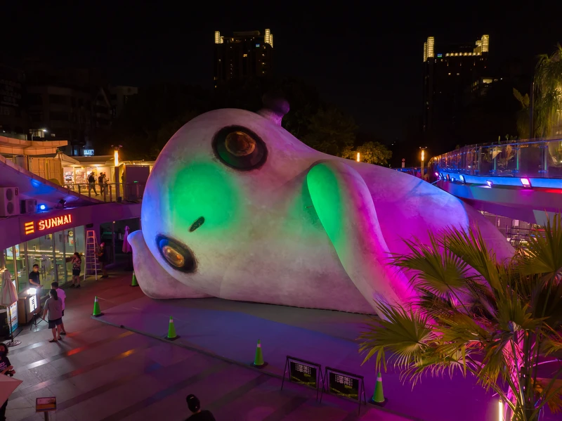 夜晚版的「狀元累了」 夜晚版的「狀元累了」