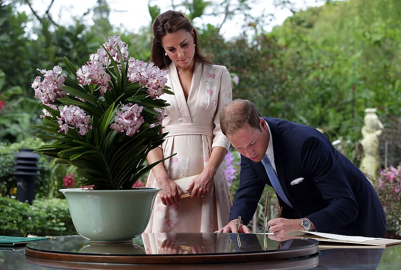 威廉王子 Prince William