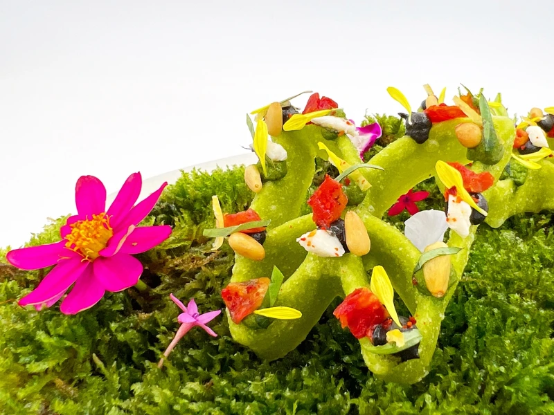 開幕菜單猶如主廚的自我介紹。