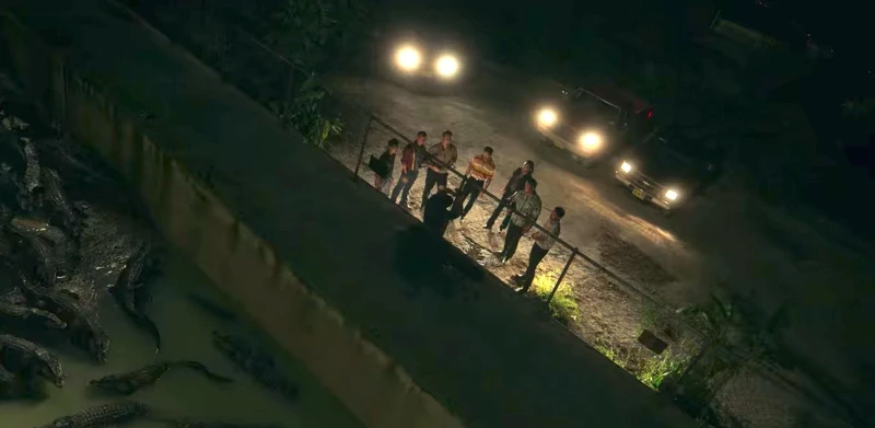 張震最喜歡動物園的鱷魚場景