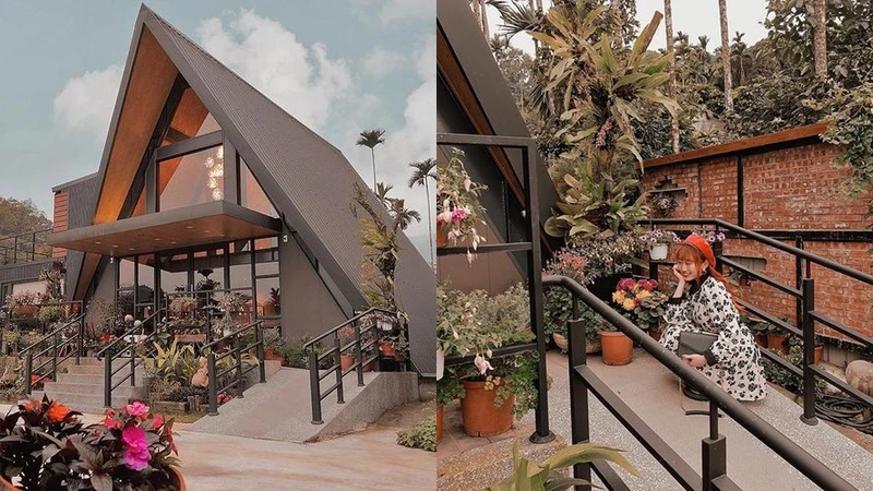 Photo/IG @ fishbone151 授權提供 Photo/IG @ fishbone151 授權提供