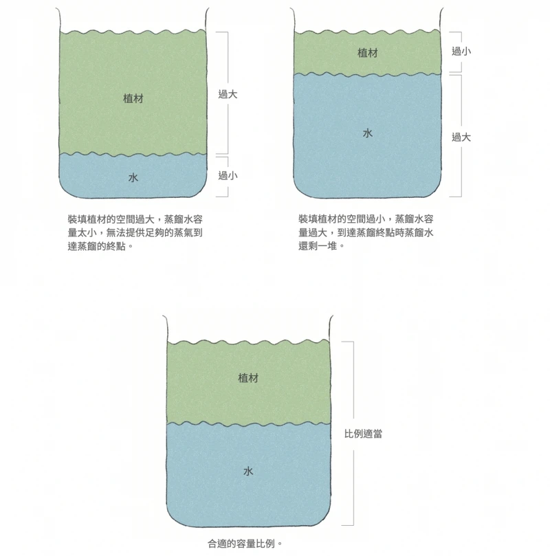 黃金比例(Photo/麥浩斯出版社)。 黃金比例(Photo/麥浩斯出版社)。