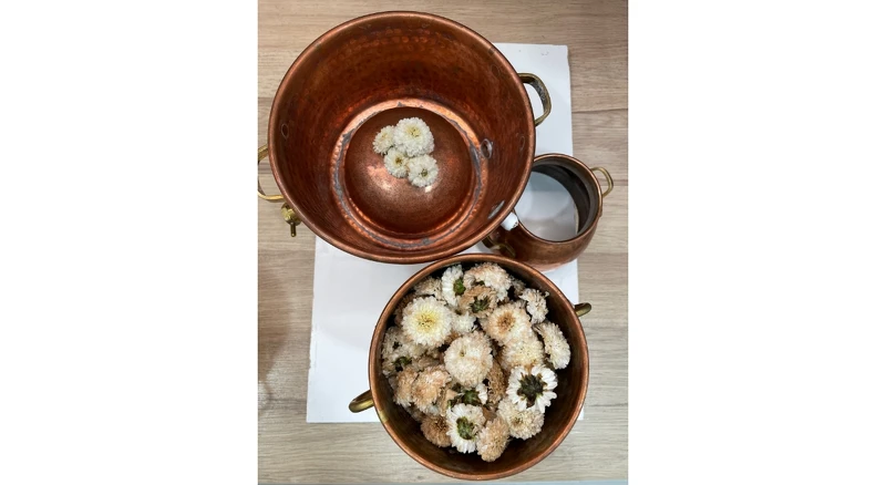 銅製蒸餾器,準備以水上蒸餾法蒸餾杭菊花(Photo/麥浩斯出版社)。 銅製蒸餾器,準備以水上蒸餾法蒸餾杭菊花(Photo/麥浩斯出版社)。