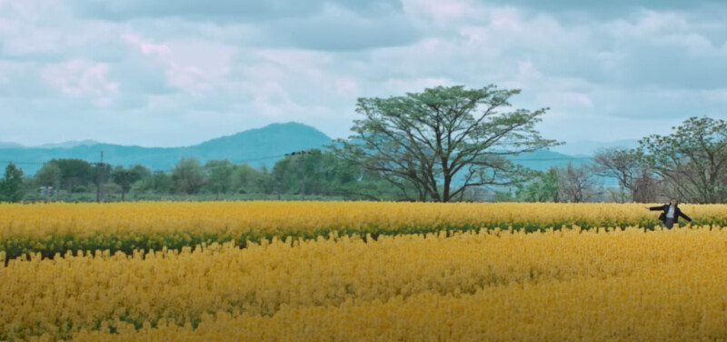 《First Love 初戀》一年四季景致盡收眼底 《First Love 初戀》一年四季景致盡收眼底