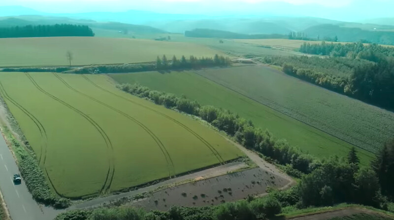 《First Love 初戀》呈現日本風情畫 《First Love 初戀》呈現日本風情畫