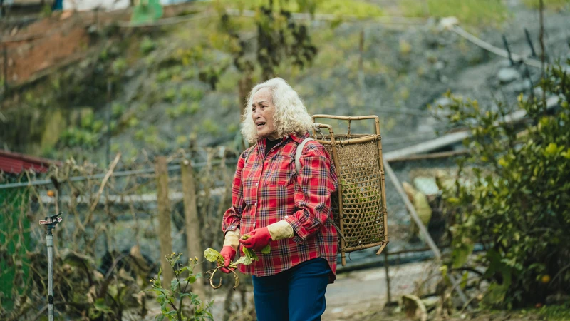 《哈勇家》阿嬤林詹珍妹 《哈勇家》阿嬤林詹珍妹