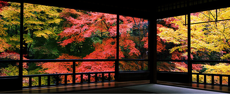 Photo／rurikoin.komyoji.com