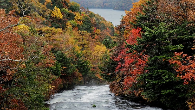 Photo／nikko.4-seasons.jp