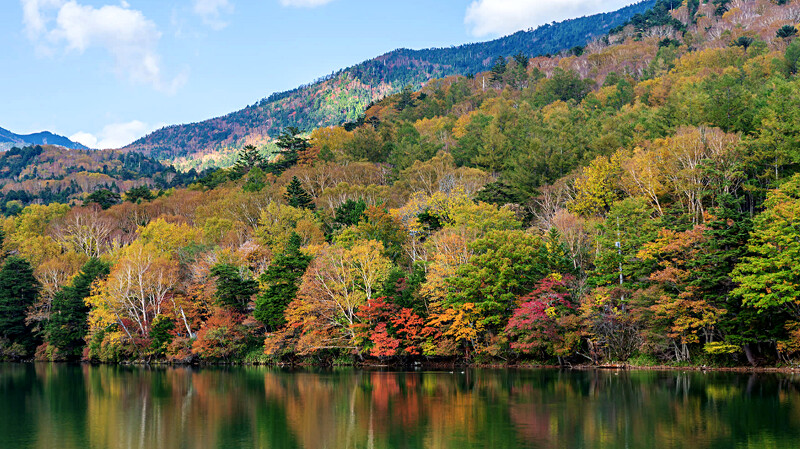 Photo／www.visitnikko.jp