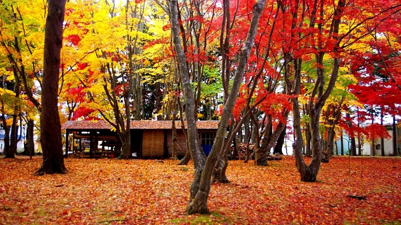 Photo／www.hakodate.travel