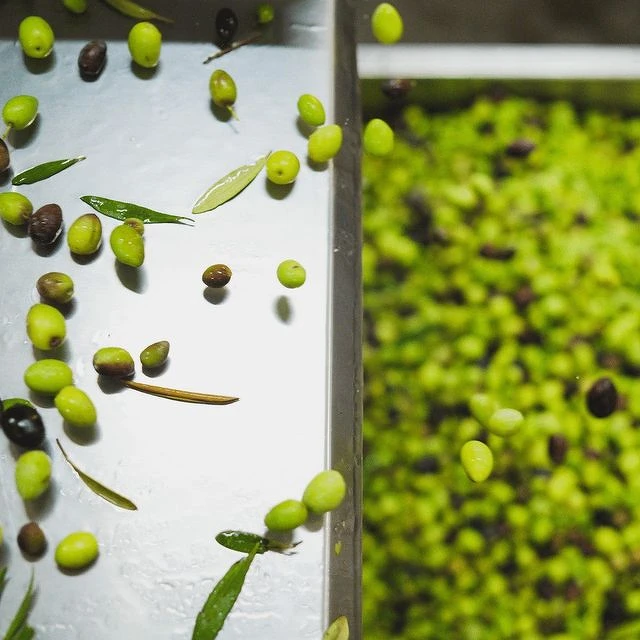 O&Co.以義大利傳統萃製工法製作一系列油品。