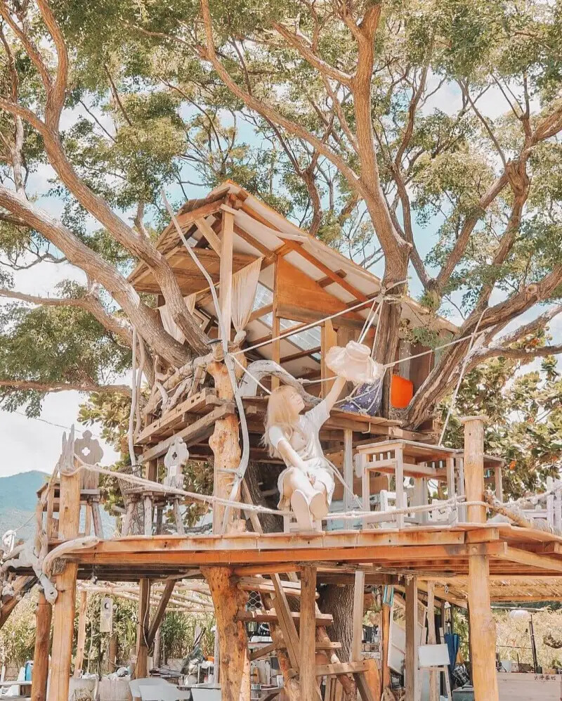 開門見山樹屋咖啡 圖片來源/ IG@gominkin 開門見山樹屋咖啡 圖片來源/ IG@gominkin