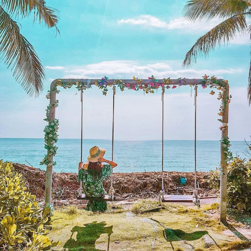 茉莉灣海洋Cafe 圖片來源/ IG@iciciclll 茉莉灣海洋Cafe 圖片來源/ IG@iciciclll