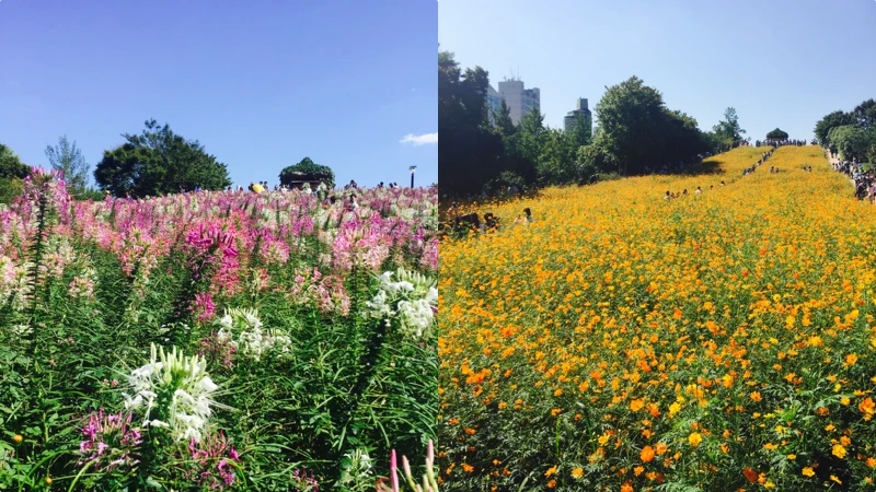 韓國首爾奧林匹克公園。 韓國首爾奧林匹克公園。