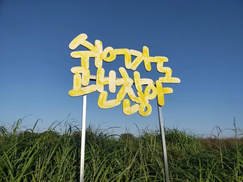 韓國首爾天空公園。