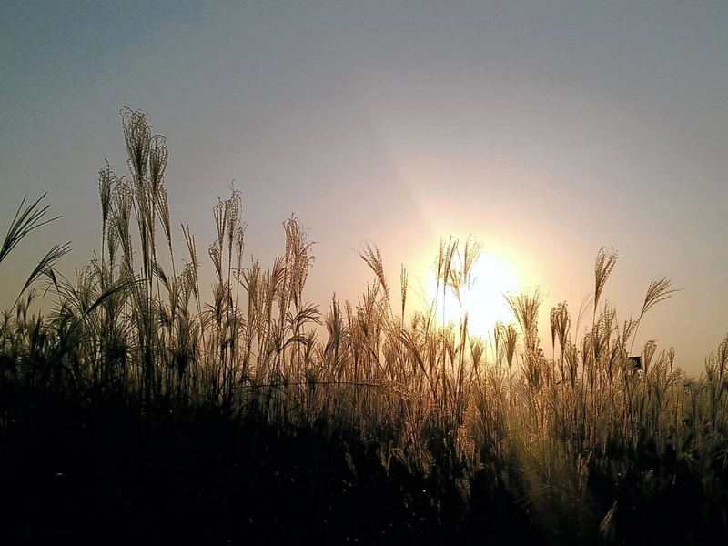 韓國首爾天空公園。