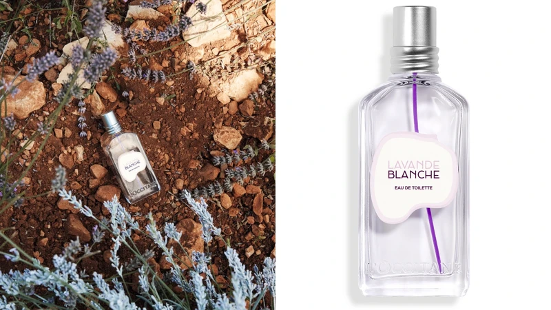 歐舒丹L’OCCITANE白薰衣草淡香水50ml,NT2,100 歐舒丹L’OCCITANE白薰衣草淡香水50ml,NT2,100