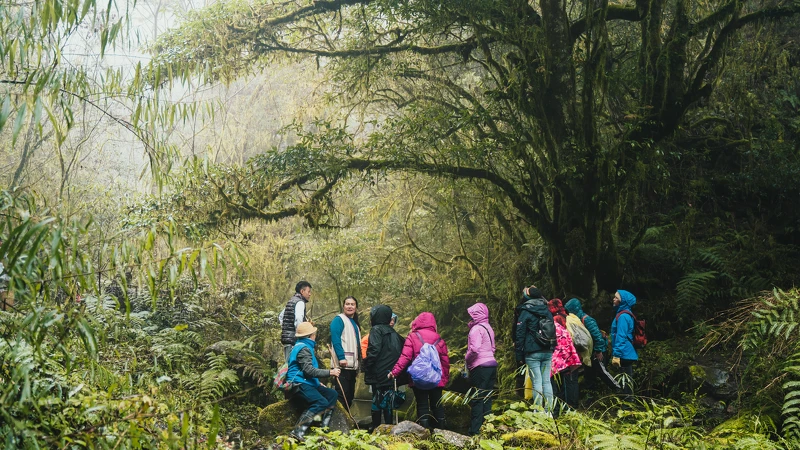 《哈勇家》思源埡口 《哈勇家》思源埡口