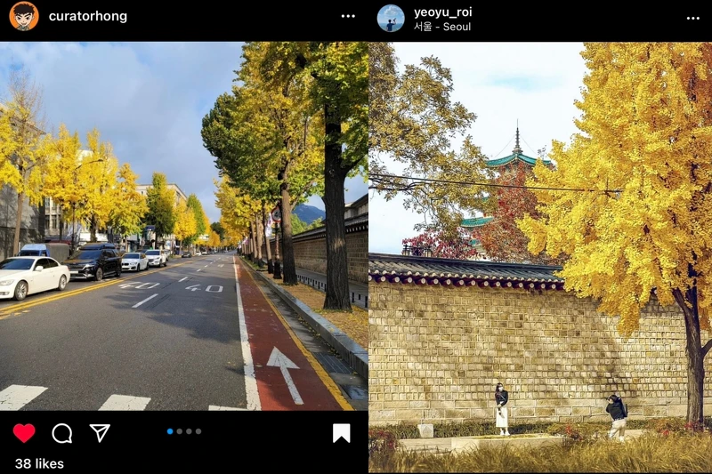 景福宮石牆路。