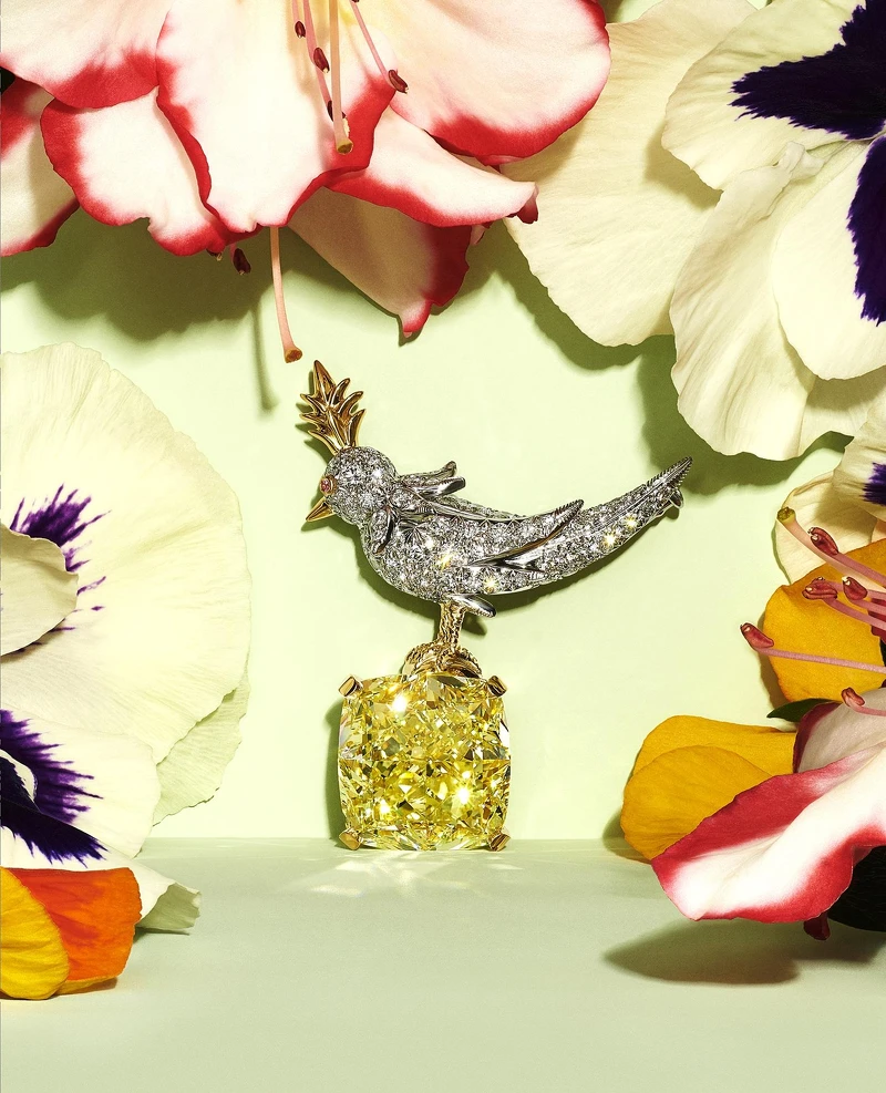 Tiffany & Co. Blue Book BOTANICA 高級珠寶系列石上鳥胸針,鉑金與18K金鑲嵌逾16克拉濃彩黃鑽。 Tiffany & Co. Blue Book BOTANICA 高級珠寶系列石上鳥胸針,鉑金與18K金鑲嵌逾16克拉濃彩黃鑽。