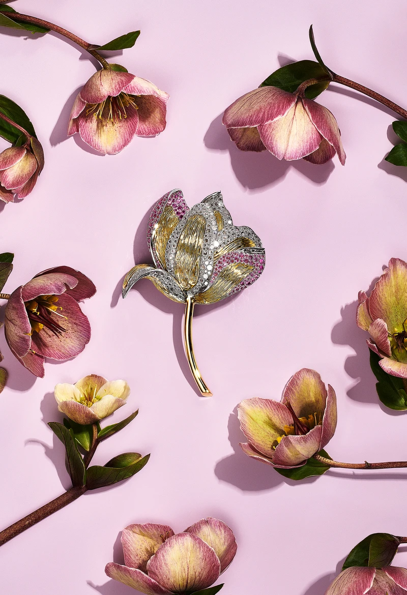 Tiffany & Co. Blue Book BOTANICA 高級珠寶系列鉑金和18K金胸針,鑲嵌粉紅色藍寶石和鑽石。 Tiffany & Co. Blue Book BOTANICA 高級珠寶系列鉑金和18K金胸針,鑲嵌粉紅色藍寶石和鑽石。