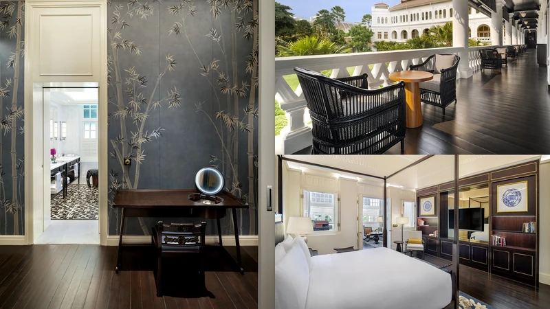 綠棕梠套房 綠棕梠套房