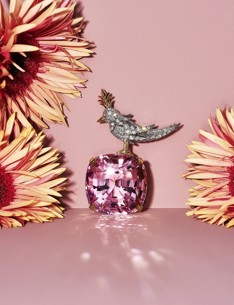 Tiffany & Co. 石上鳥Bird on a Rock胸針 Tiffany & Co. 石上鳥Bird on a Rock胸針