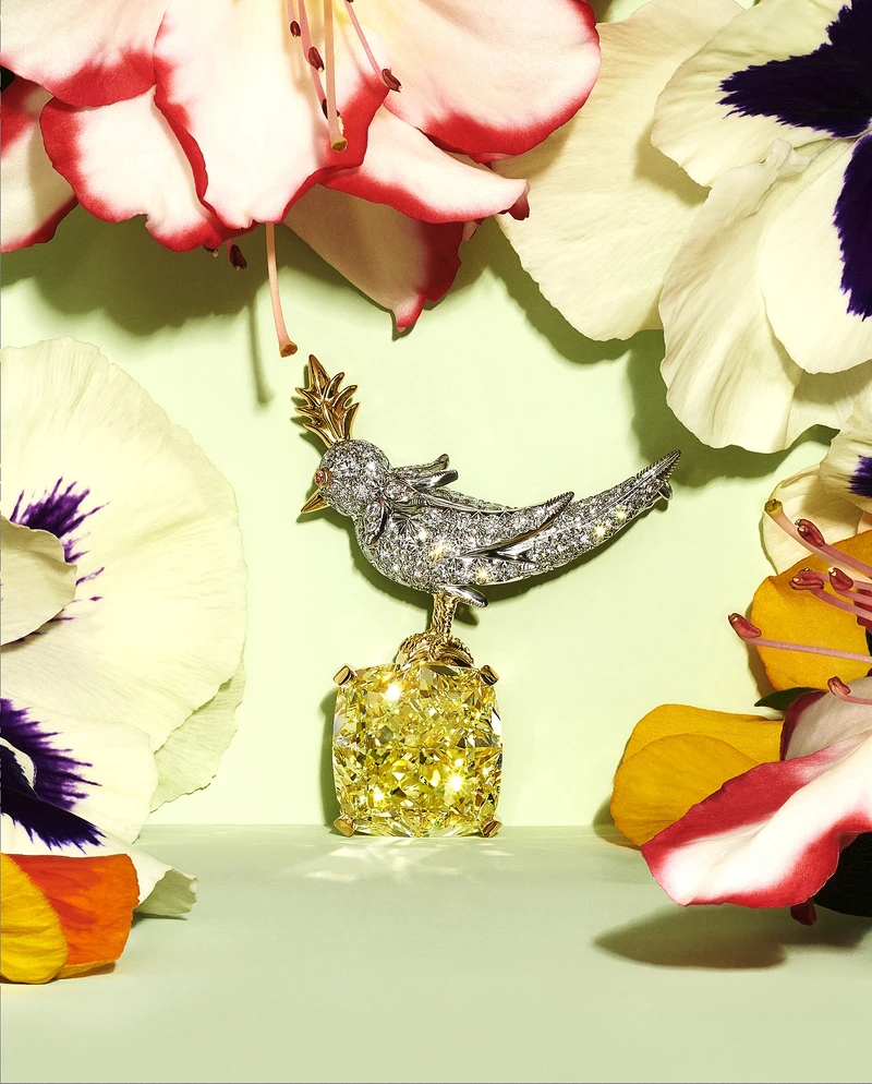 Tiffany & Co. 石上鳥Bird on a Rock胸針 Tiffany & Co. 石上鳥Bird on a Rock胸針