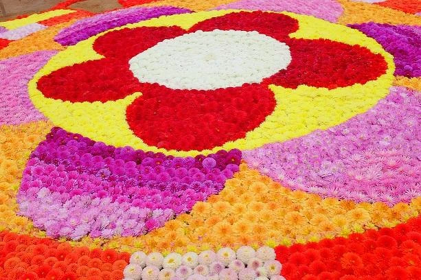 每年都受到關注的花海藝術，用8000株大理花呈現出各種圖案