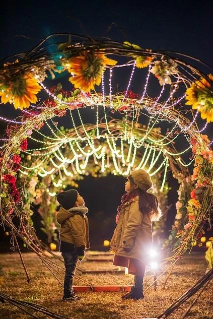 花卉裝飾在夜晚點燈後，呈現出溫馨氛圍