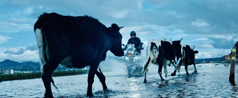 任賢齊MV到許多秘境取景