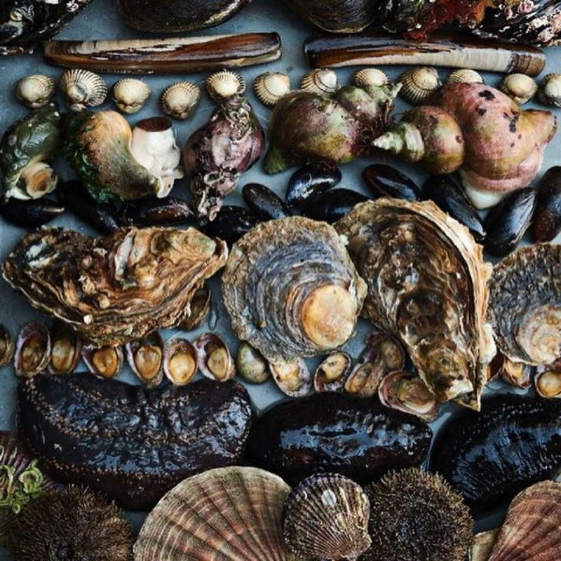 Noma 講究北歐自然且獨特的食材。 Noma 講究北歐自然且獨特的食材。