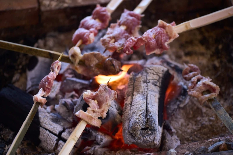 燒烤饗宴。 燒烤饗宴。