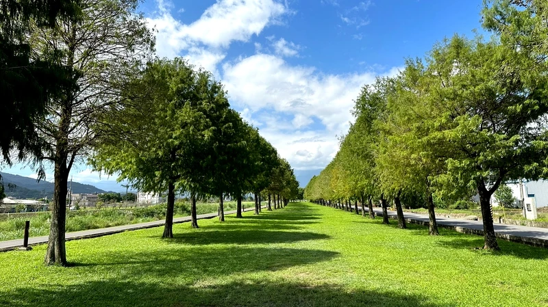 未變色的落羽松景色也相當優美宜人。Photo／Marie Claire Taiwan