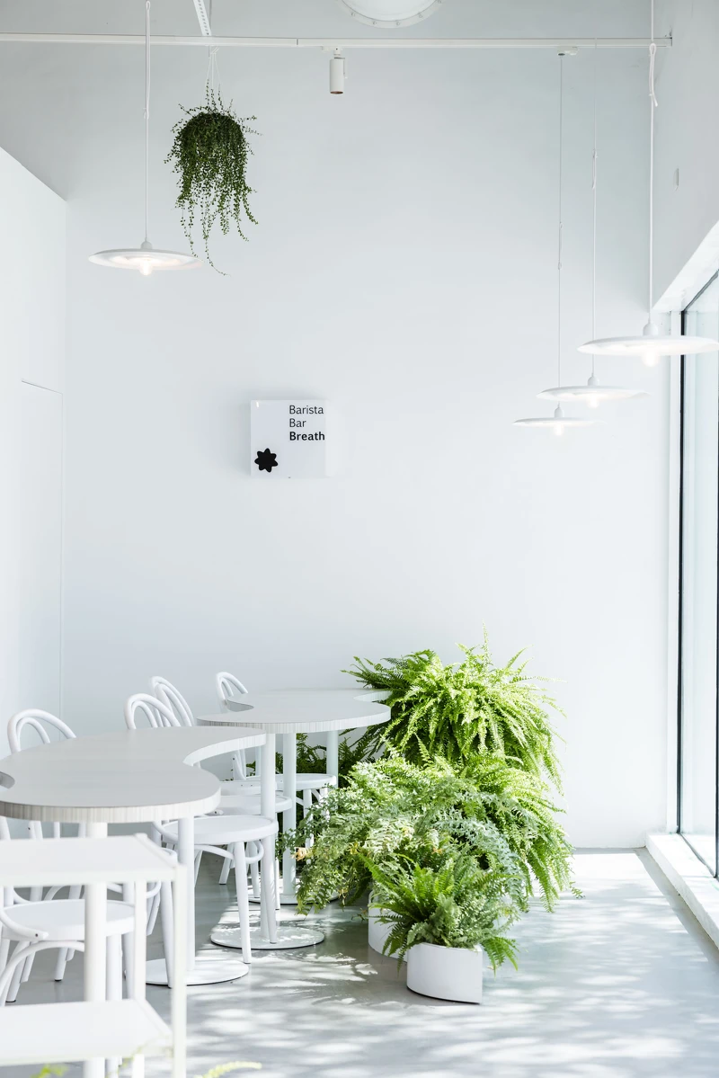 Akau Coffe以獨特烘豆手法探索咖啡風味