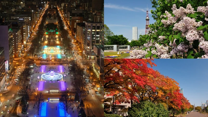 Photo／odori-park.jp