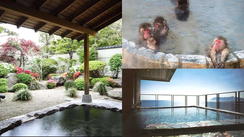 Photo／www.ana.co.jp