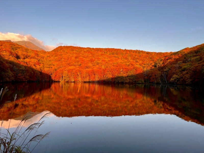 日出後太陽逐漸升起。 日出後太陽逐漸升起。