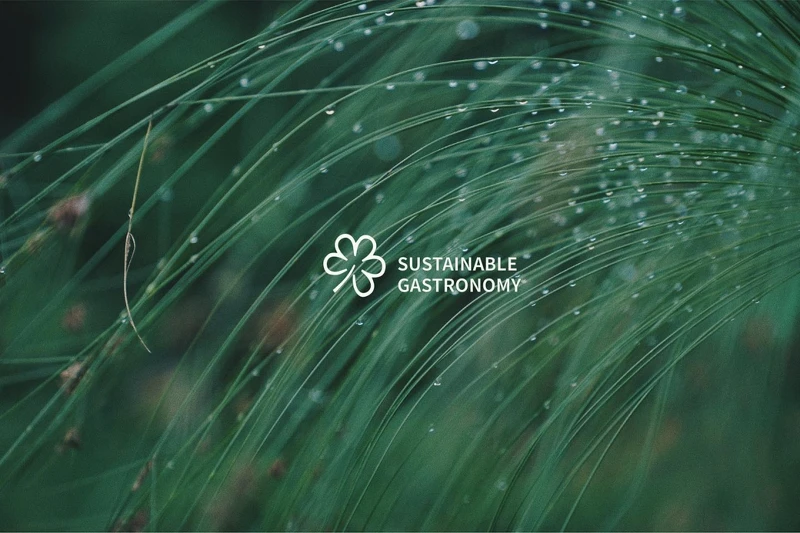 獲得米其林綠星餐廳 EMBERS。 獲得米其林綠星餐廳 EMBERS。